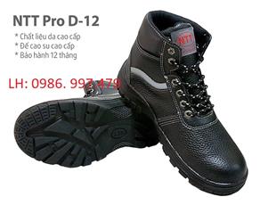 Giày da bảo hộ NTT Pro D12